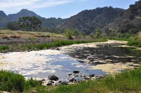 Enlarge photo 114