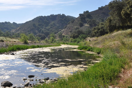 Enlarge photo 115