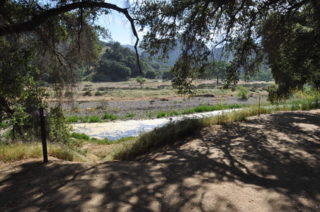 Enlarge photo 118