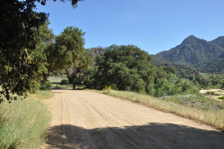 Enlarge photo 123
