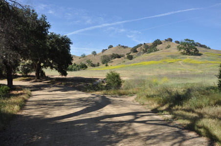 Enlarge photo 124