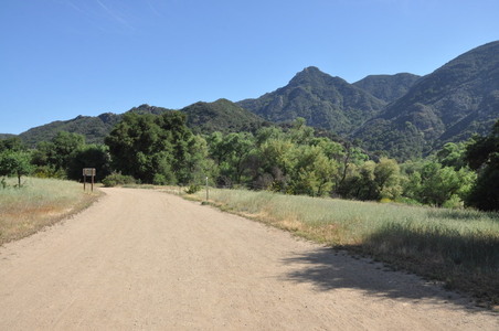 Enlarge photo 125