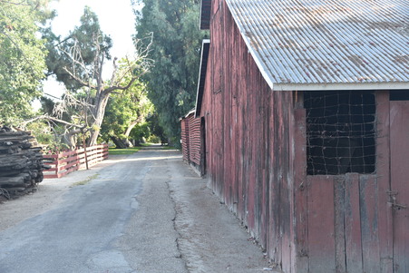 Enlarge photo 22