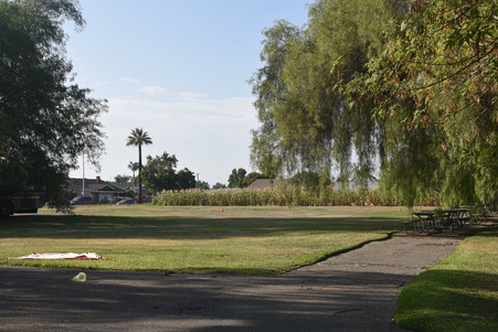 Enlarge photo 32