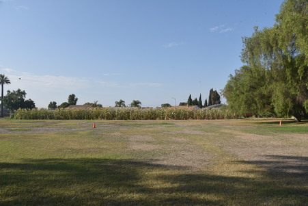 Enlarge photo 35