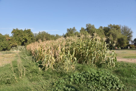 Enlarge photo 36