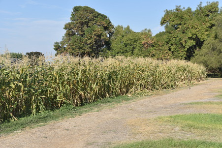 Enlarge photo 42