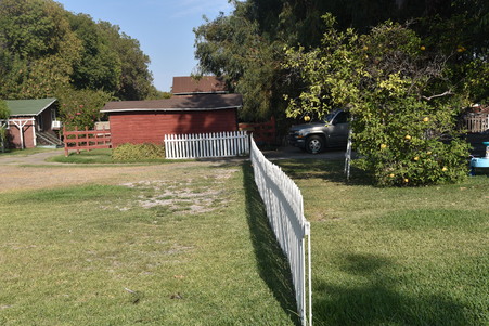 Enlarge photo 43