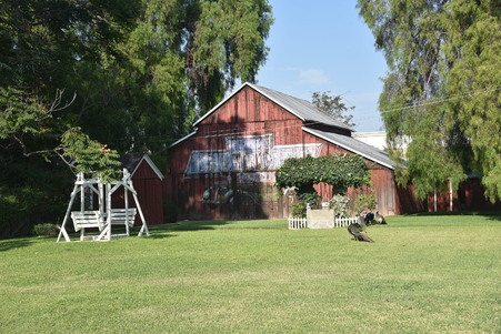 Enlarge photo 49