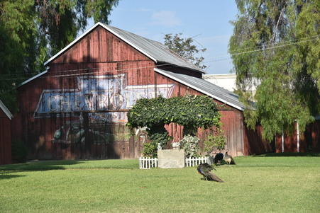 Enlarge photo 50