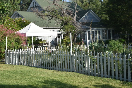 Enlarge photo 51
