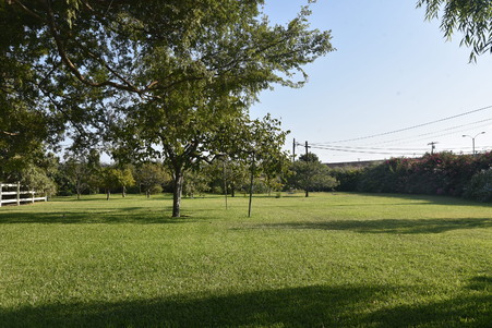 Enlarge photo 55