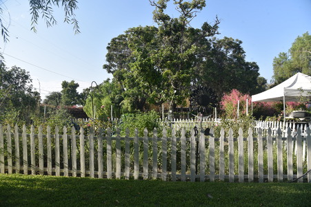 Enlarge photo 56