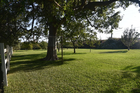 Enlarge photo 59