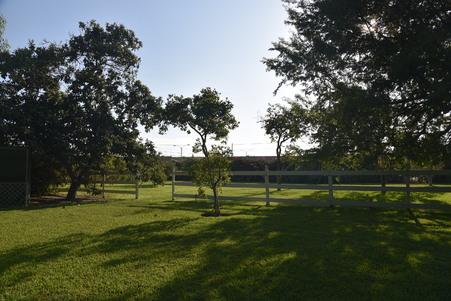 Enlarge photo 68