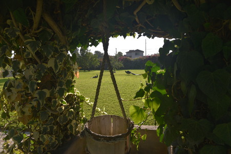 Enlarge photo 77