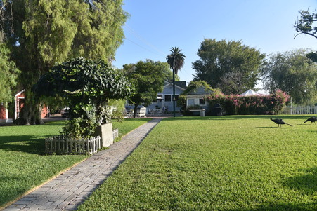 Enlarge photo 81