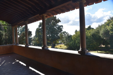 Enlarge photo 46