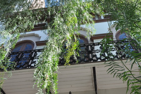 Enlarge photo 55