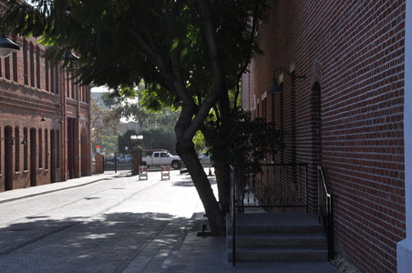Enlarge photo 66