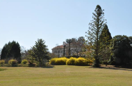 Enlarge photo 15