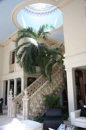 Enlarge photo 11