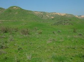 76 Ranch