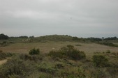Charmlee Wilderness