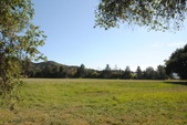 Golden Oaks Ranch