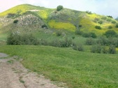 Enlarge photo 13