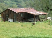 Enlarge photo 20