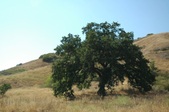 King Gillette Ranch