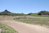 Malibu Family Vineyard