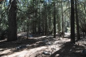Pine Mountain Club