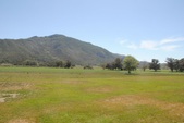 Shadow Oaks Ranch