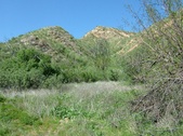 Towsley Canyon