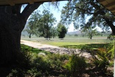 Ventura Farms