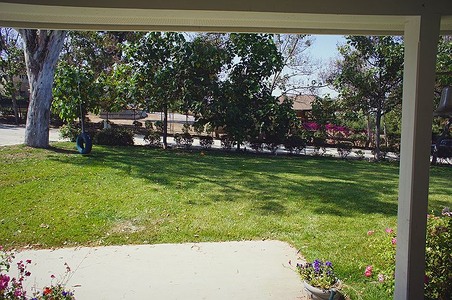 Enlarge photo 23