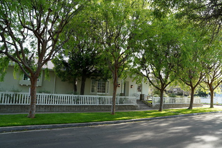 Enlarge photo 41