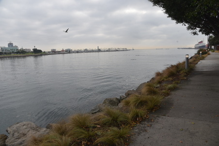 Enlarge photo 29