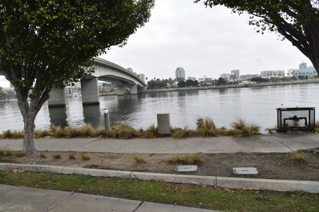 Enlarge photo 33