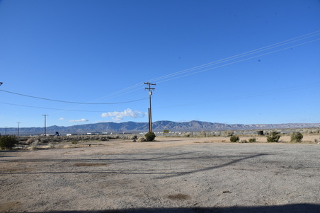 Enlarge photo 61