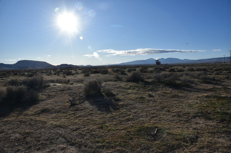 Enlarge photo 38