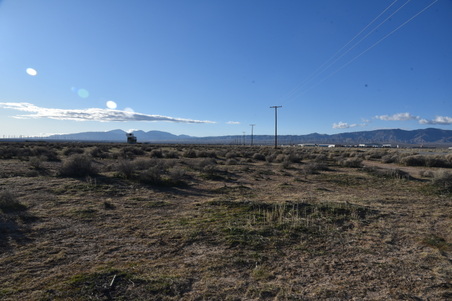 Enlarge photo 37