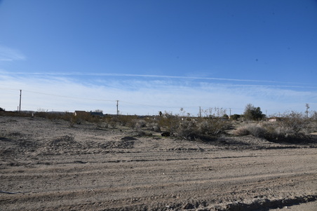 Enlarge photo 53