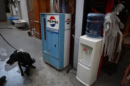 Enlarge photo 41
