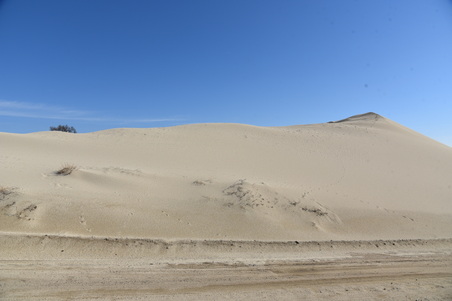 Enlarge photo 15