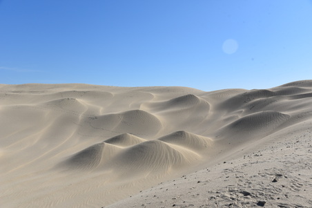 Enlarge photo 17