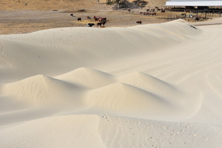 Enlarge photo 34
