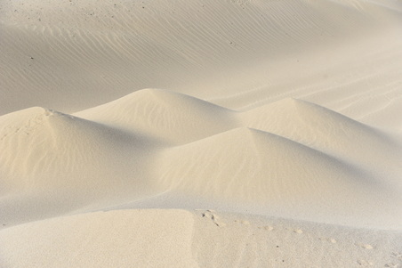 Enlarge photo 35